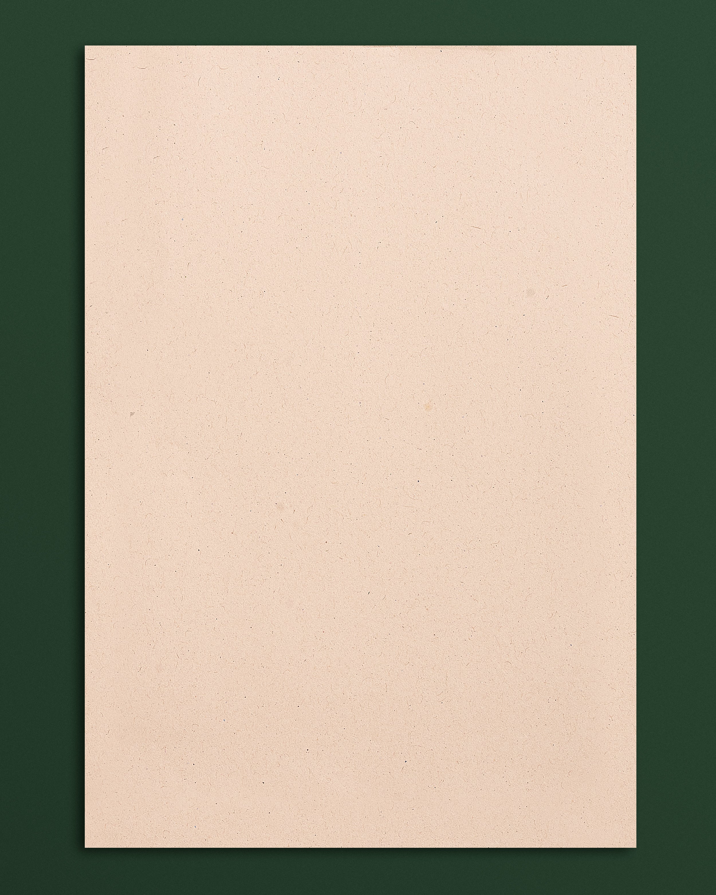 100% Recycled A4 Copier Paper – 100 Sheets (75 GSM) - Image 3