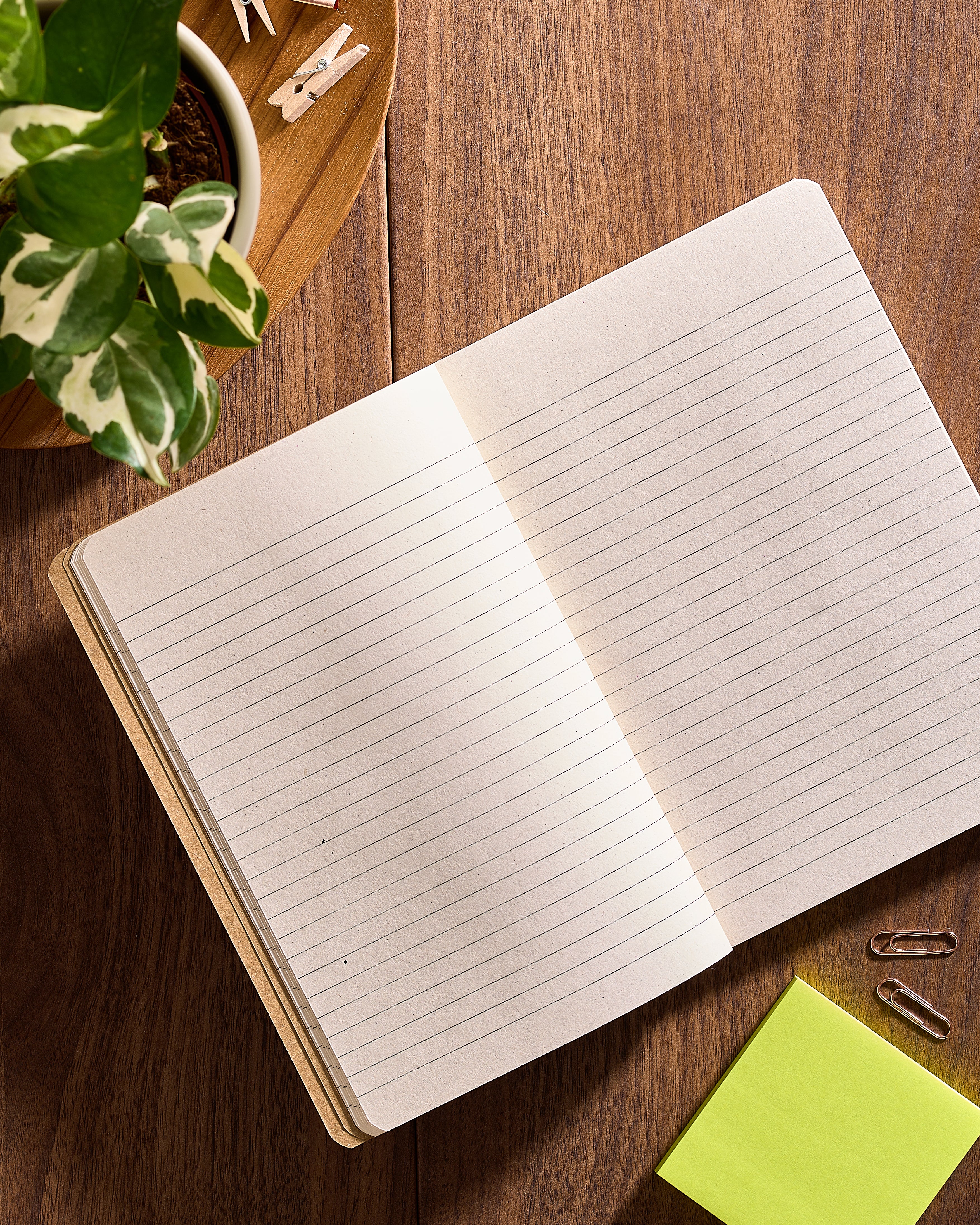 Eco-Friendly Journal - Image 10
